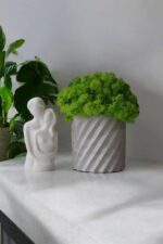 Кvetináč "Marshmallow" s machom - Image 2