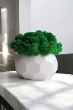 Кvetináč "Ball" s machom - Image 2
