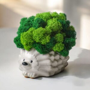 Kvetináč „Hedgehog“ s machom